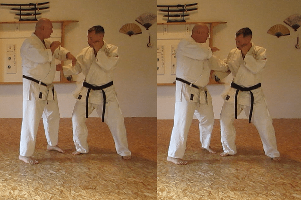 Naihanchi Shodan opening sequence 1