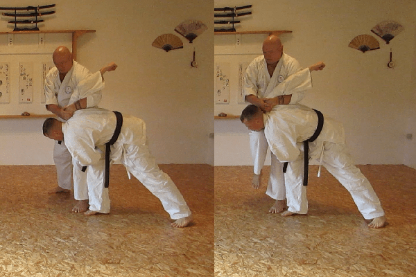 Naihanchi Shodan opening sequence 2