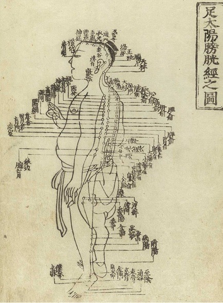Notes from Hua Shou - Meridian Chart