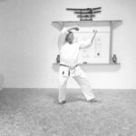Pinan (Heian) Kata – The way we do it