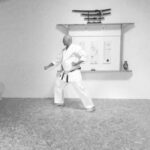 Kihon Kata - The way we do it