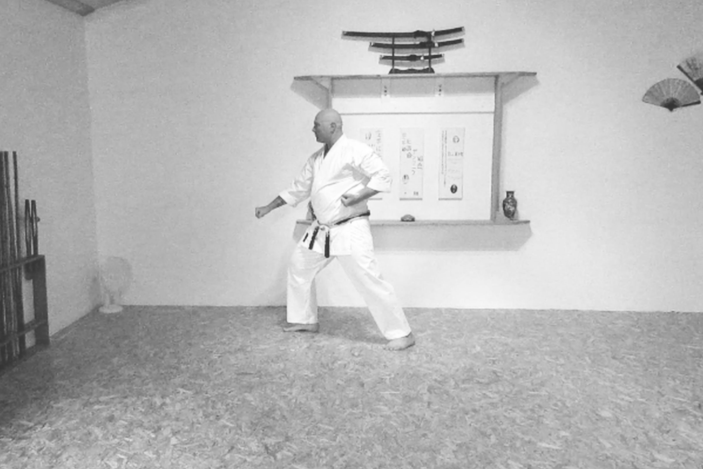 Taikyuko Shodan tek 3