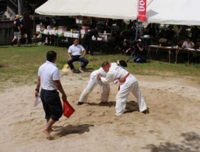 Okinawan sumo, Shima