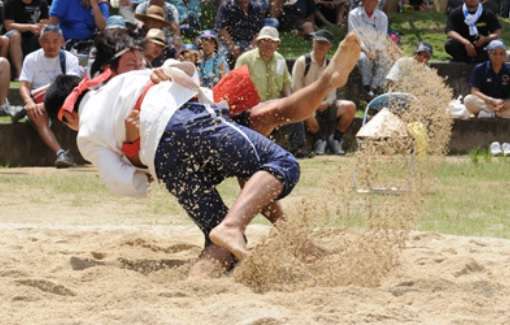 Okinawan sumo, Shima