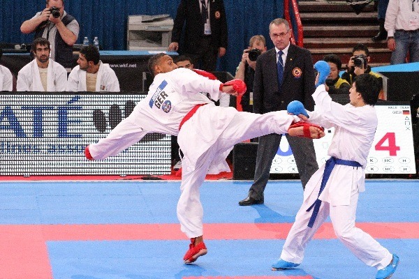 Combat Strategy in Martial Arts