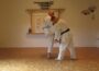 Technique from Naihanchi